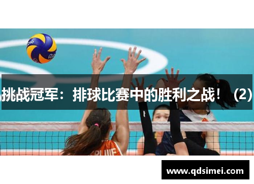 挑战冠军：排球比赛中的胜利之战！ (2)